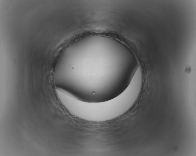 X0000112741349200909171152