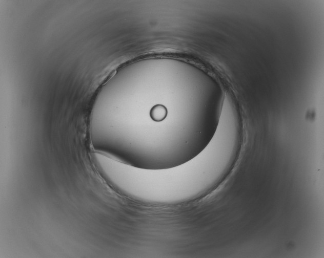 X0000112741353200909171152