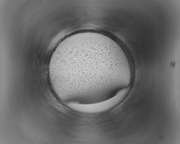 X0000112741355200909171152