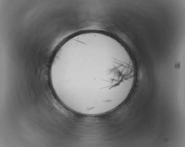 X0000112741356200909171152