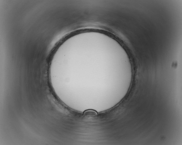 X0000112741360200909171152