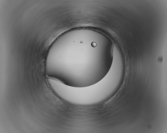 X0000112741361200909171152