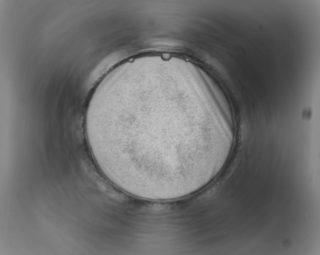 X0000112741362200909171151