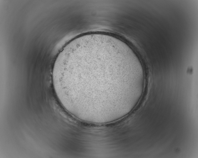 X0000112741363200909171151