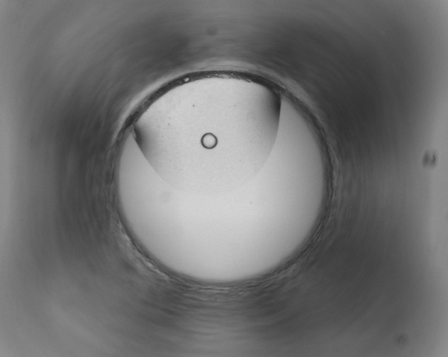 X0000112741364200909171151