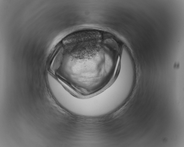 X0000112741365200909171151