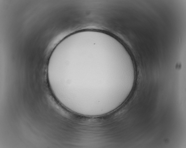 X0000112741367200909171151