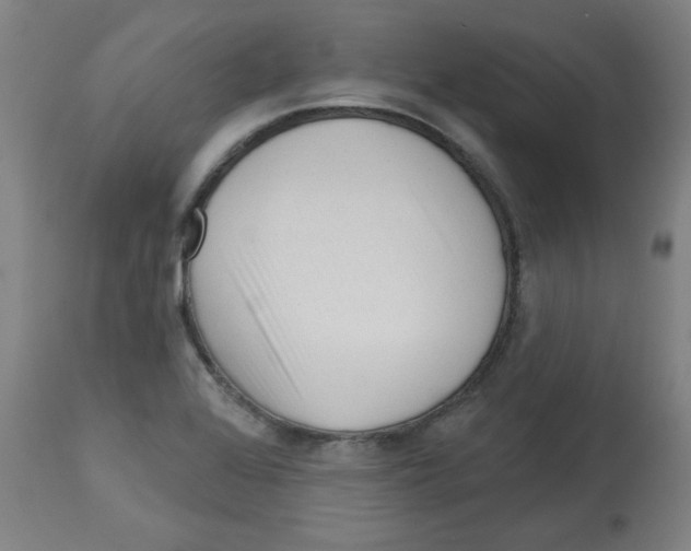 X0000112741368200909171151