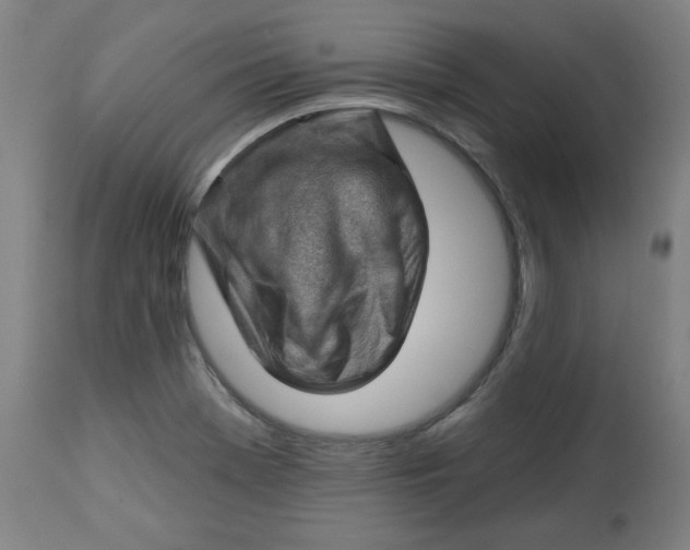 X0000112741369200909171151