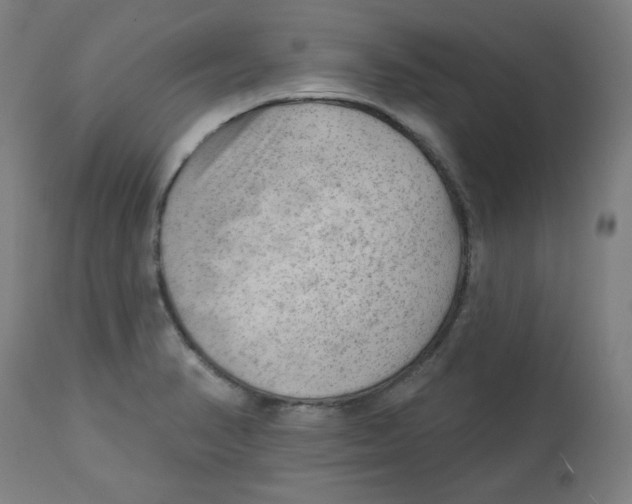 X0000112741374200909171151