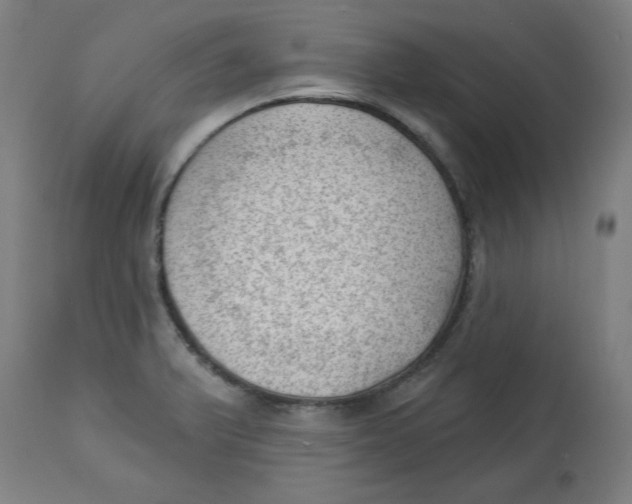 X0000112741375200909171151