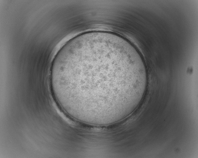 X0000112741379200909171151