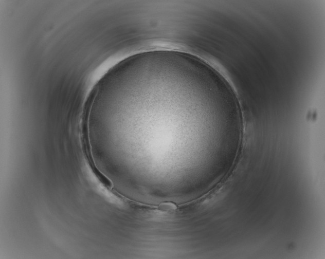 X0000112741381200909171151