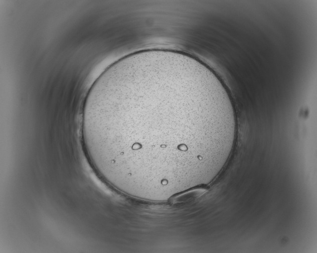 X0000112741383200909171151