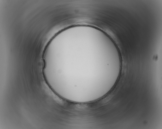 X0000112741384200909171151