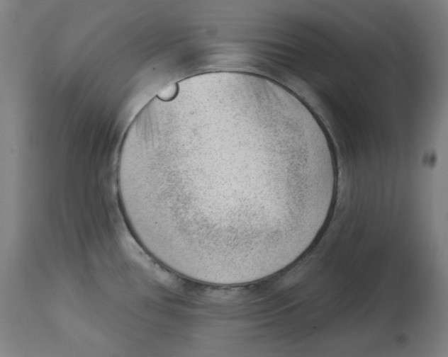 X0000112741386200909171151