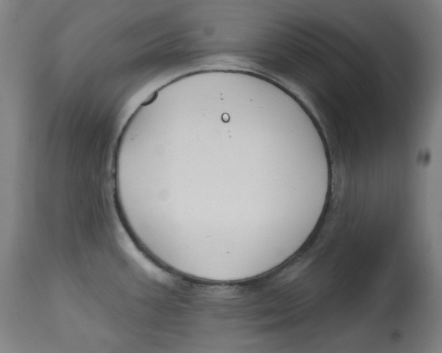 X0000112741387200909171151