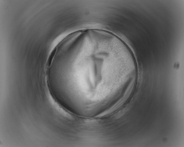 X0000112741389200909171151