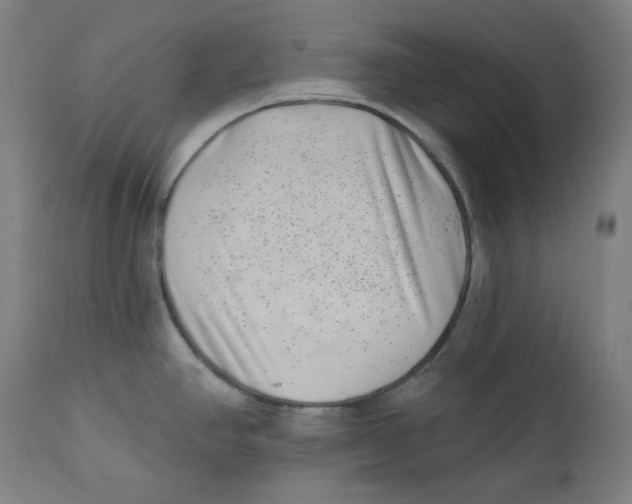 X0000112741390200909171151