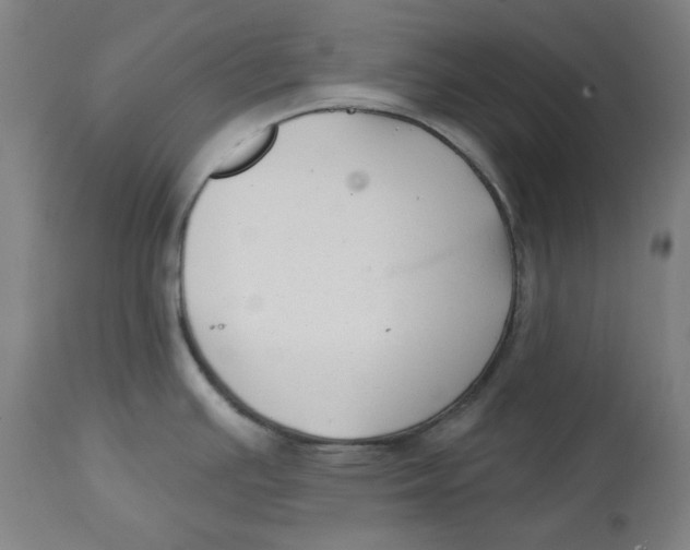 X0000112741391200909171151