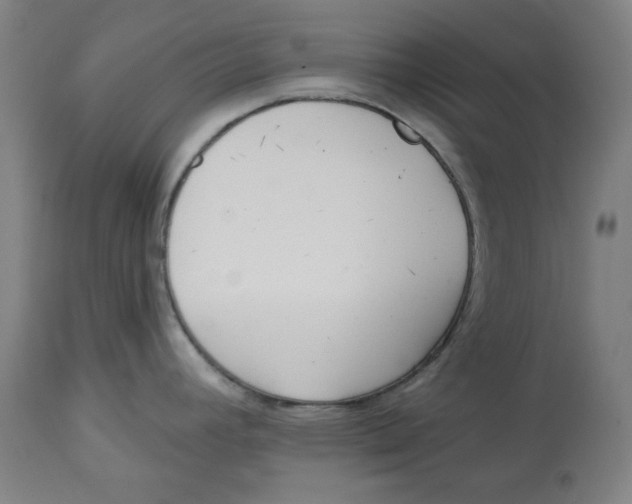 X0000112741392200909171151