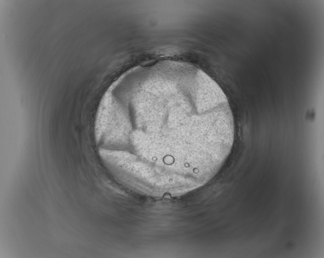 X0000112741393200909171150