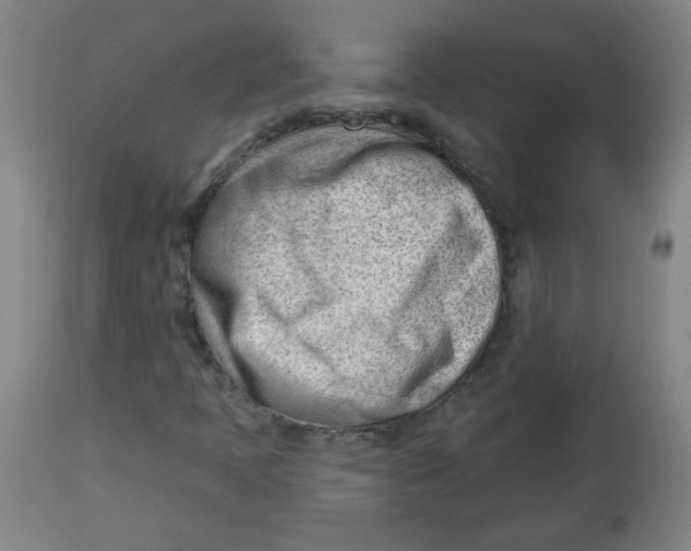 X0000112741397200909171150