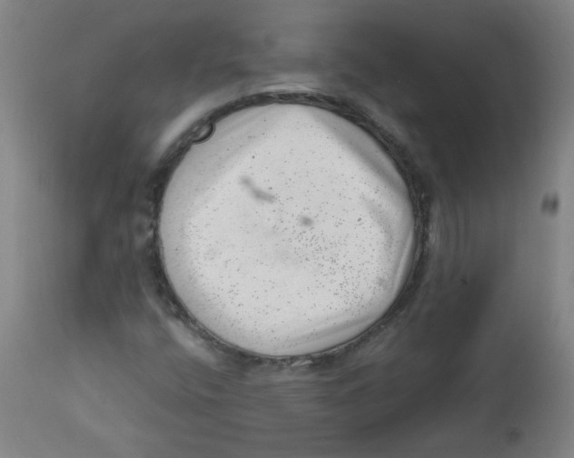 X0000112741400200909171151