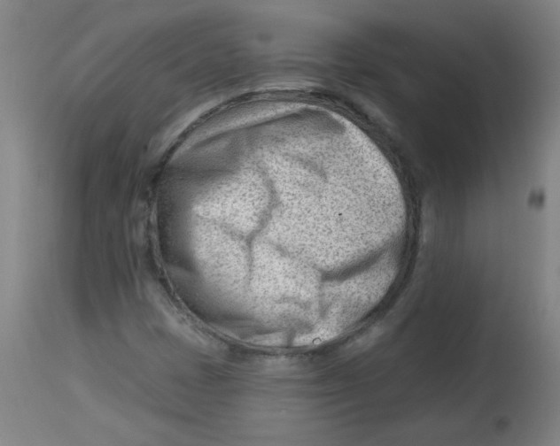 X0000112741401200909171151