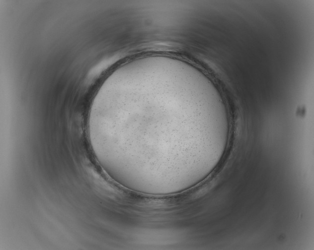 X0000112741402200909171151