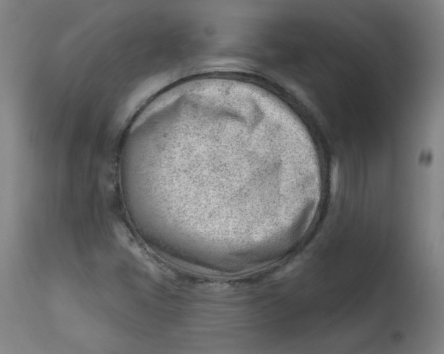 X0000112741405200909171151