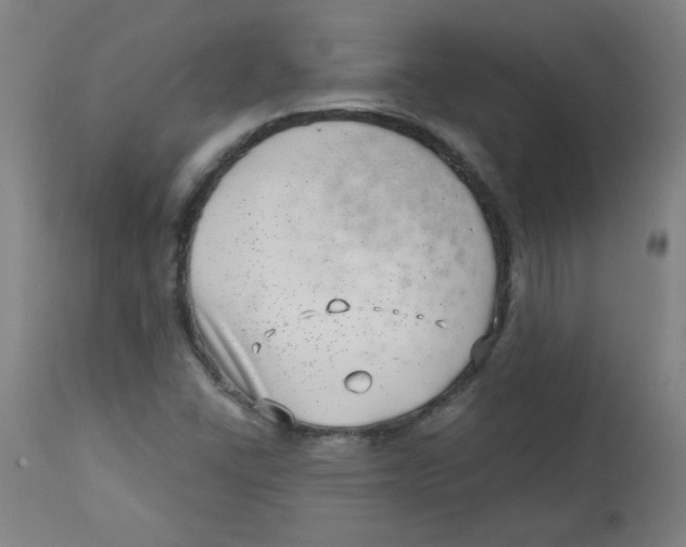 X0000112741406200909171151