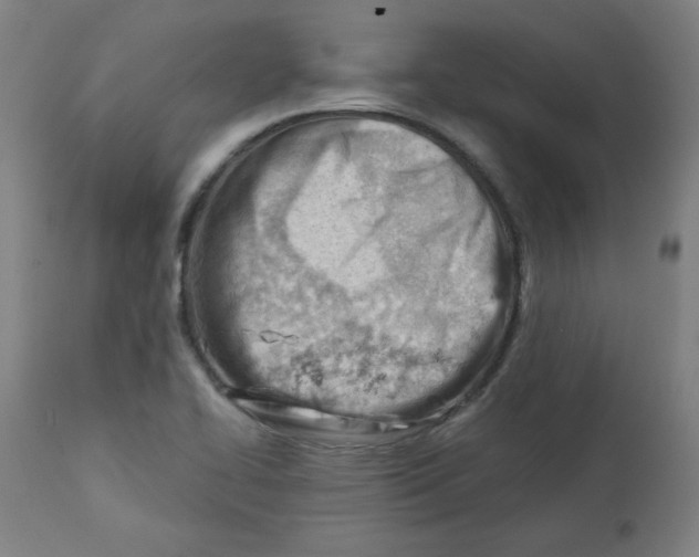 X0000112741414200909171151