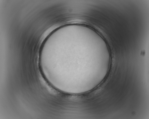 X0000112741418200909171151