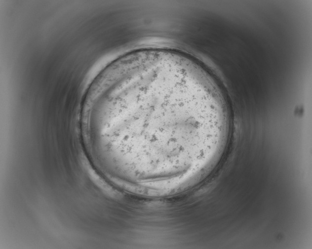 X0000112741421200909171151