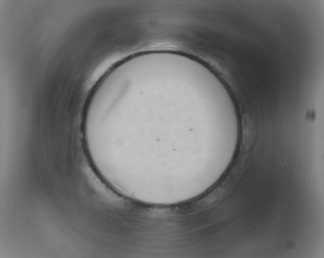 X0000112741422200909171151