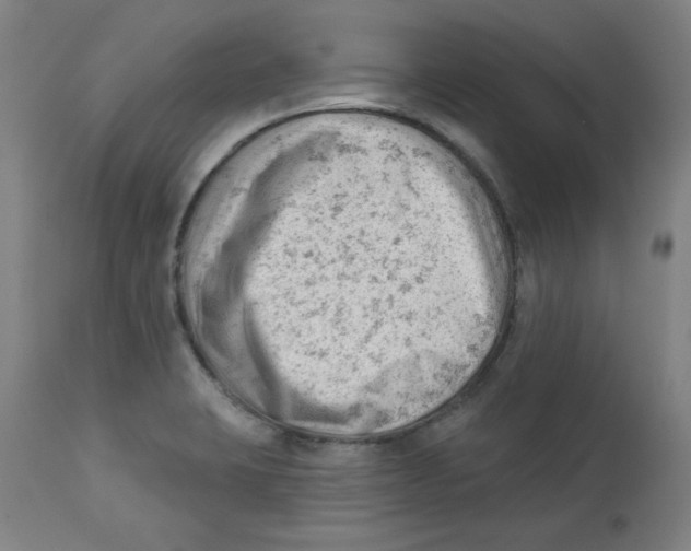 X0000112741423200909171151