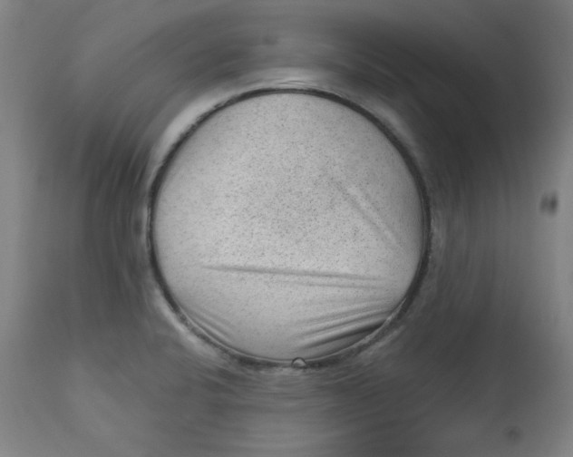 X0000112741424200909171151