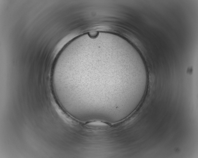 X0000112741426200909171151