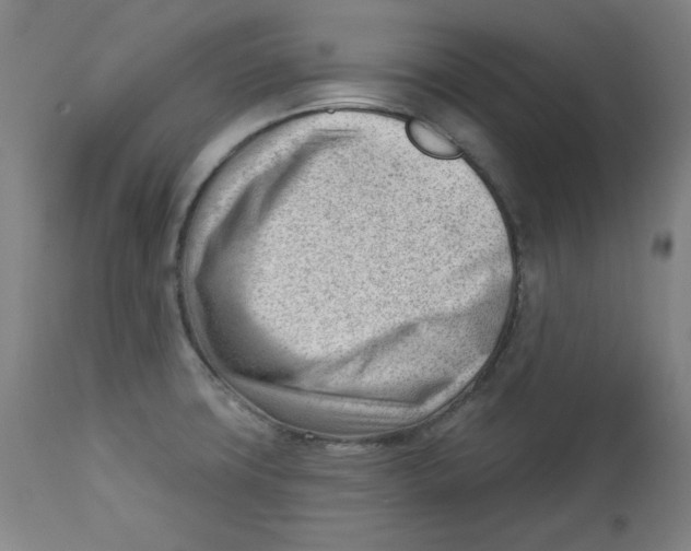 X0000112741427200909171151