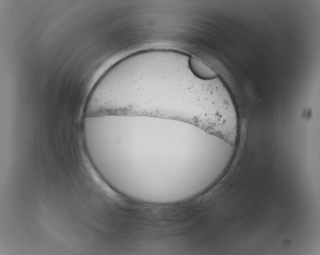 X0000112741428200909171151