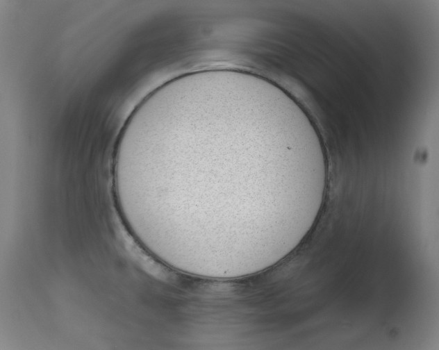 X0000112741431200909171151