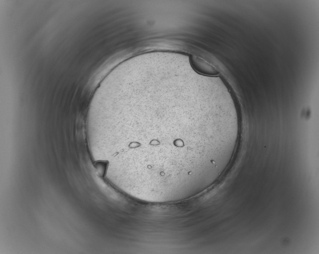 X0000112741433200909171151