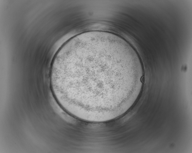 X0000112741434200909171151