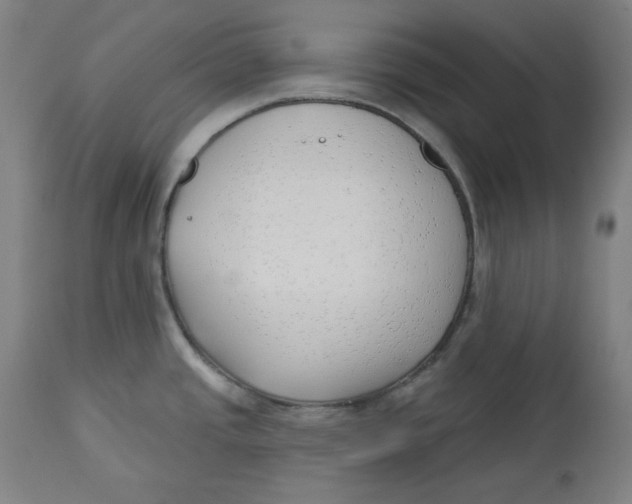 X0000112741437200909171151