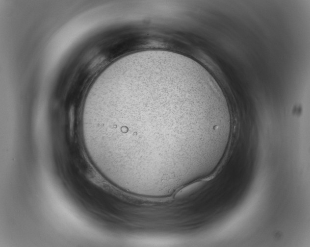 X0000112741439200909171151