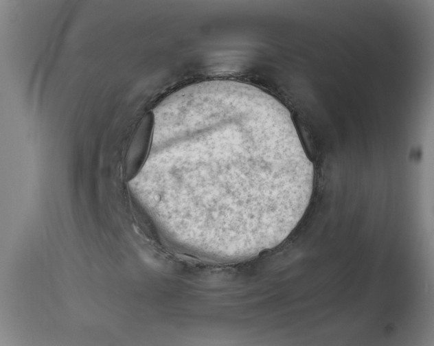 X0000112741441200909171150