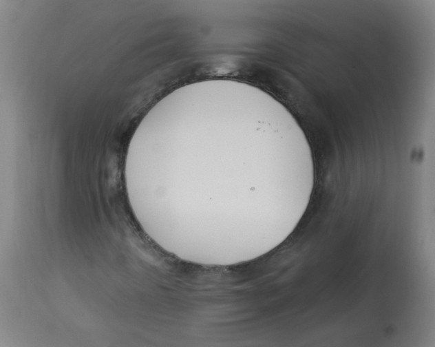 X0000112741442200909171150