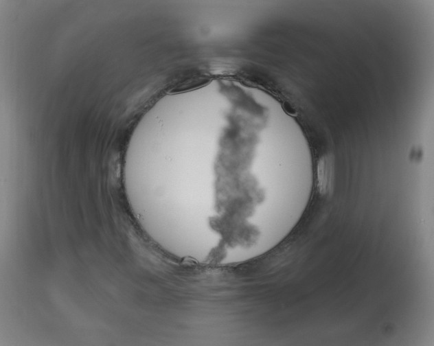 X0000112741443200909171150