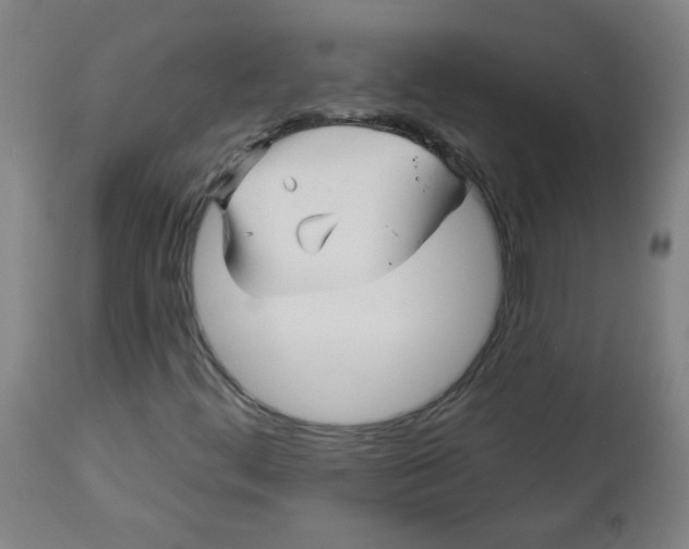 X0000112741444200909171150